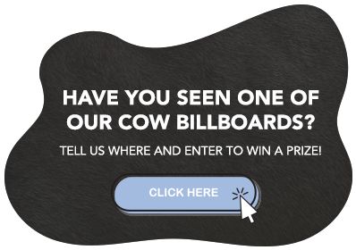 Billboard contest image. Have you seen one of our cow billboards? Tell us where and enter to win a prize. Click here.
